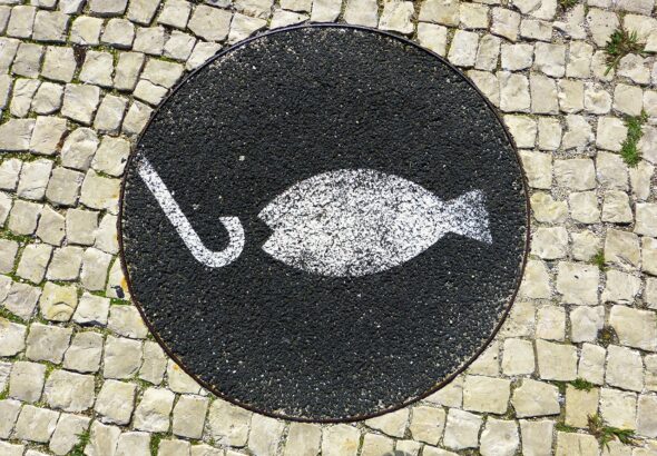 loggawiggler-fish-211501_1280