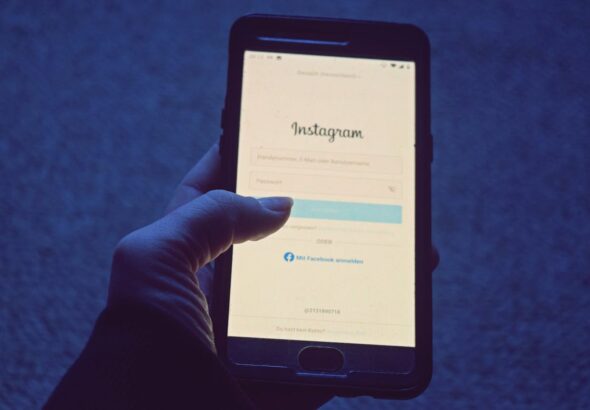 pexels-wolfs-rib-113939050-9900293